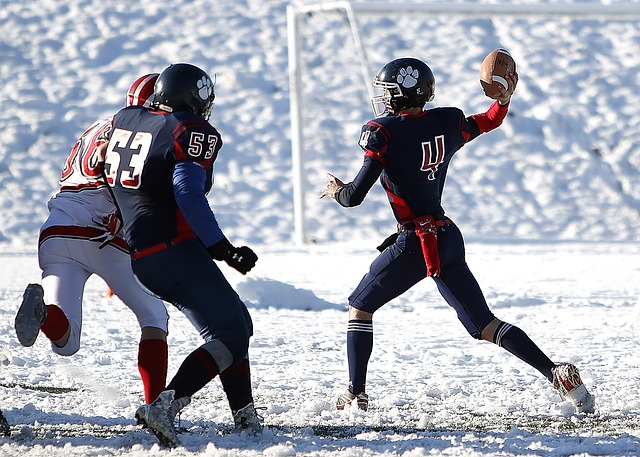 虽置于替补 虽置于替补