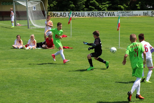 定载入Mo 定载入Mo