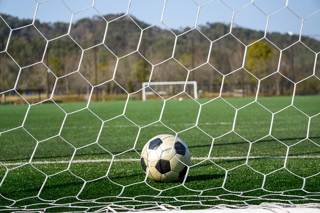 的名号享誉 的名号享誉