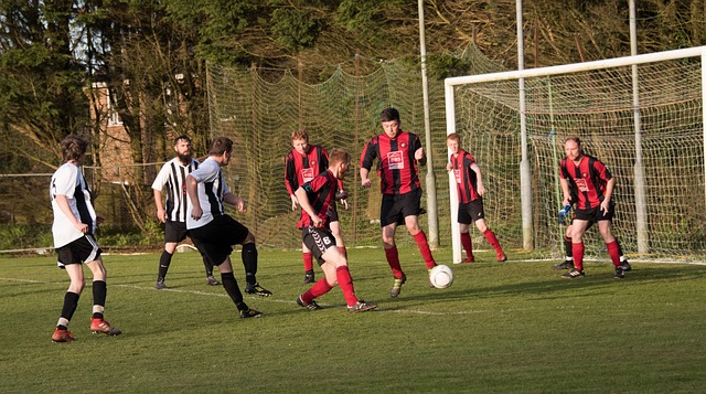 许多优势 许多优势