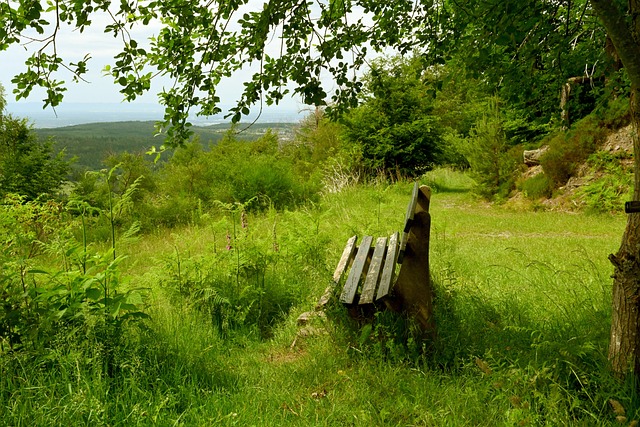 感上的失落 感上的失落