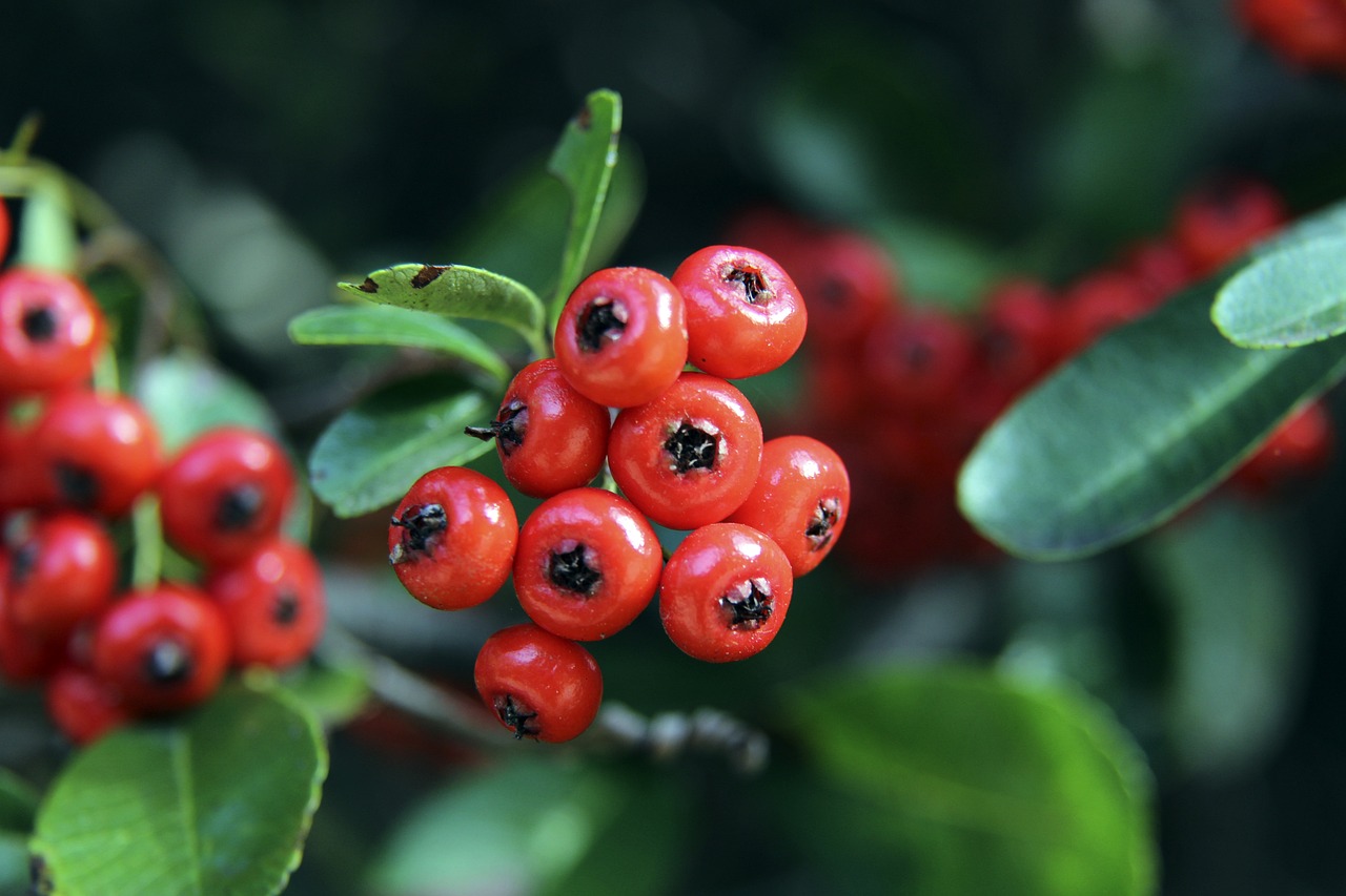 去年夏天 去年夏天