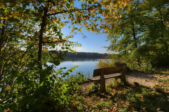 他在场上期 他在场上期