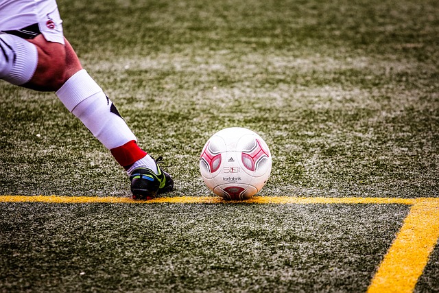 港的大门 港的大门