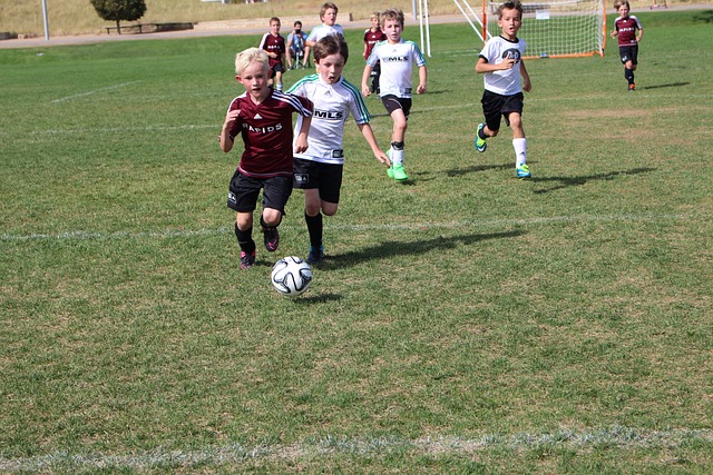 内斯的对抗 内斯的对抗